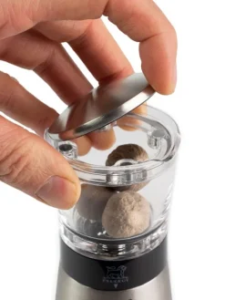 Shop Daman Manual nutmeg mill in stainless steel and acrylic with magnetic cover 15cm For The Foodie|Speciality Spice Mills