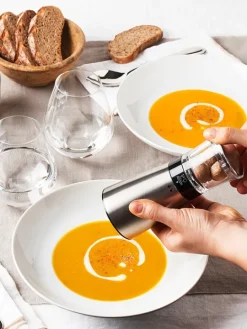 Shop Daman Manual nutmeg mill in stainless steel and acrylic with magnetic cover 15cm For The Foodie|Speciality Spice Mills